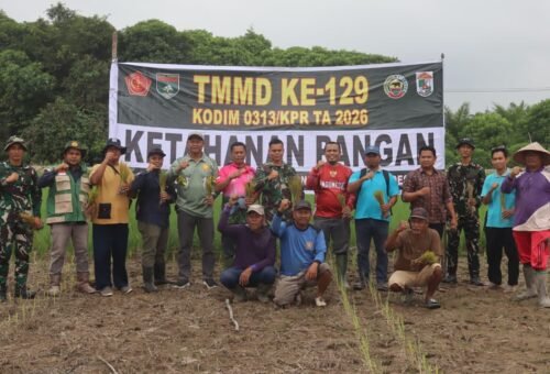 Peningkatan Ketahanan Pangan Melalui Aksi Tanam Padi TMMD Ke-129 di Kuala Panduk