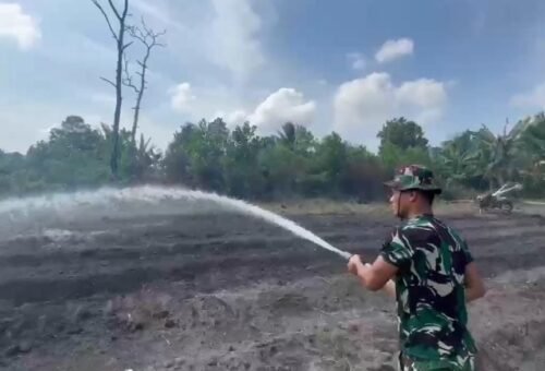 Satgas TMMD Ke-129 Kodim 0413/Bangka Berinisiatif Tanam Kangkung untuk Ketahanan Pangan