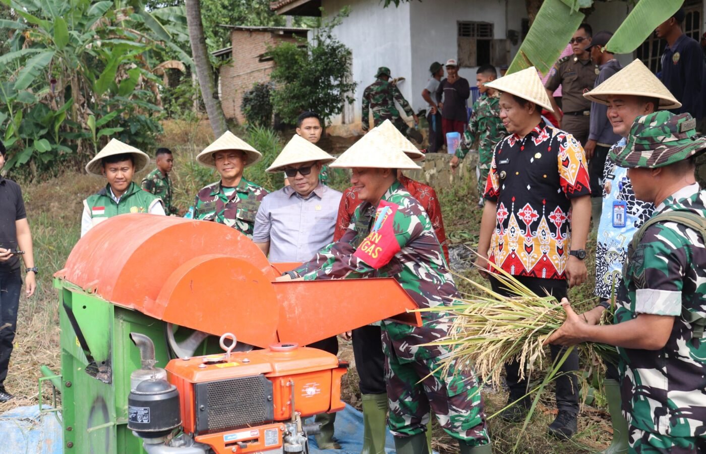 Satgas TMMD Ke-129 Kodim 0412/LU Rayakan Panen Raya Padi di Desa Baru Raharja