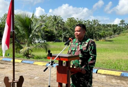 Puncak Acara TMMD Ke-129, Penanaman Pohon dan Pelepasan Satgas di Embung Desa Lapri