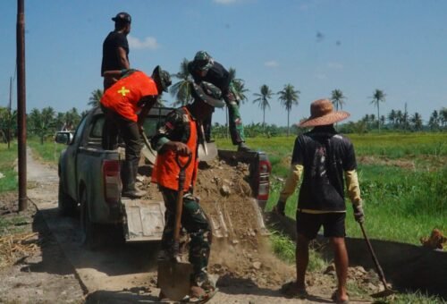 TMMD Reguler ke-129: Peningkatan Jalan 1,2 Kilometer untuk Mobilitas Warga yang Lebih Baik