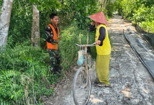 Kebersamaan dalam TMMD: Senyum Satgas Membawa Harapan di Desa Bandar Raya