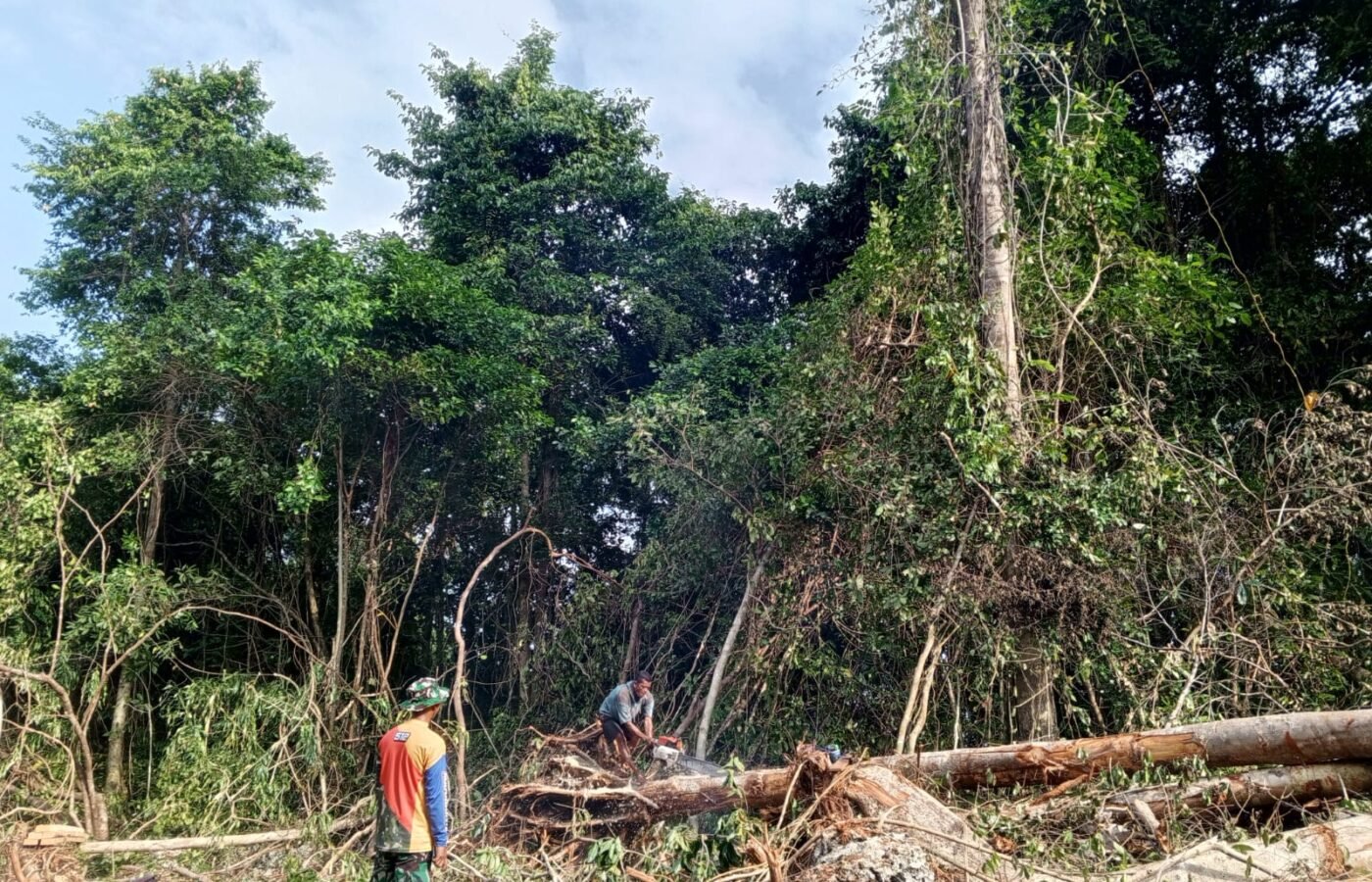 Pohon Tumbang Dimanfaatkan Satgas TMMD untuk Material Renovasi RTLH di Desa Pulau Dua