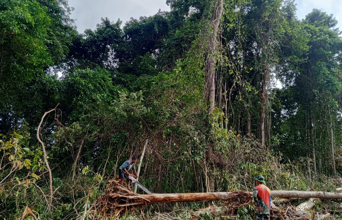 Satgas TMMD dan Warga Olah Kayu Pohon Tumbang Jadi Material Renovasi RTLH