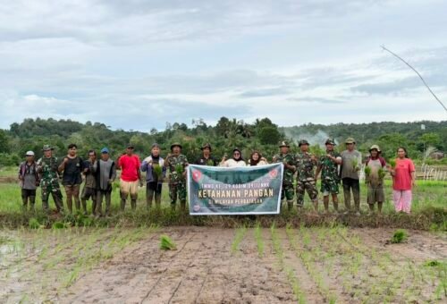 Satgas TMMD Ke-129 Kodim 0911/Nunukan Dampingi Kelompok Tani Matirowali Perkuat Ketahanan Pangan di Desa Binusan