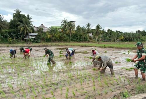 Gotong Royong Satgas TMMD dan Petani Desa Binusan Perkuat Kemandirian Pangan Wilayah Perbatasan