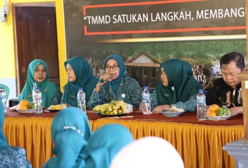 Inisiatif TMMD 129, DPMD dan TP PKK Lamongan Adakan Pembinaan dan Nutrisi untuk Ibu Hamil di Tlemang