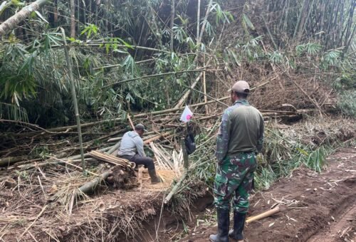 Penguatan Infrastruktur TMMD Tingkatkan Ekonomi Pertanian Bambu di Sekardadi