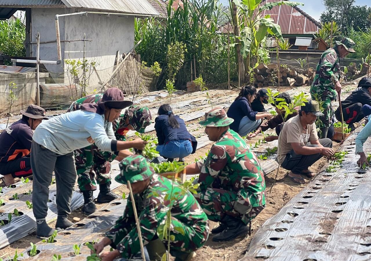 Peninjauan Program Ketahanan Pangan TMMD Ke-129 di Desa Sekardadi