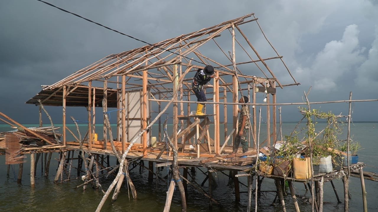 Progres Renovasi RTLH Bapak Nardianto di Desa Polewali: Pemasangan Atap dan Kalsiboard