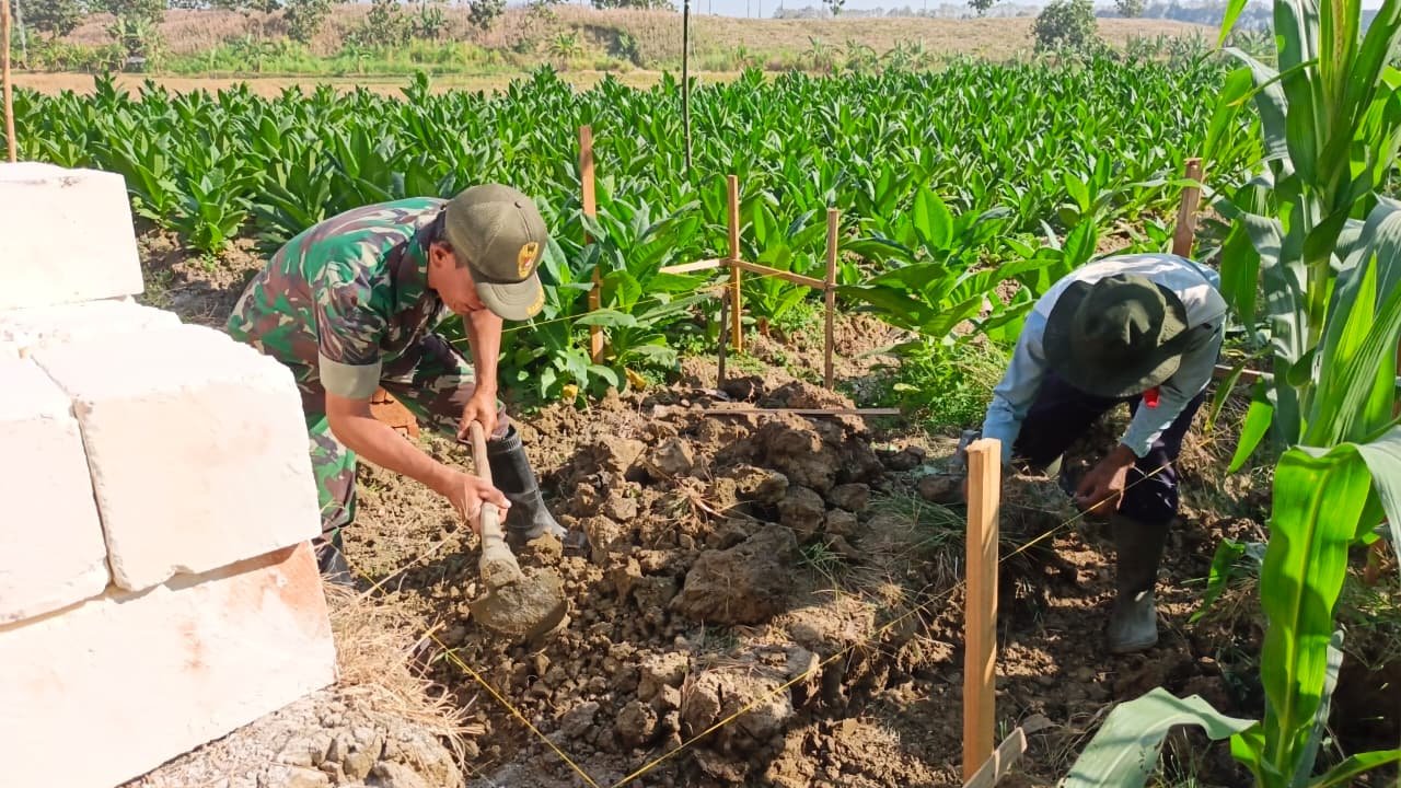 Pembangunan Tandon Air Irigasi Jadi Harapan Baru Petani Jagung