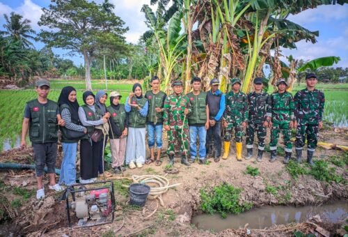 Kolaborasi TNI dan Masyarakat Dalam Pemberantasan Hama Tikus di Pinrang