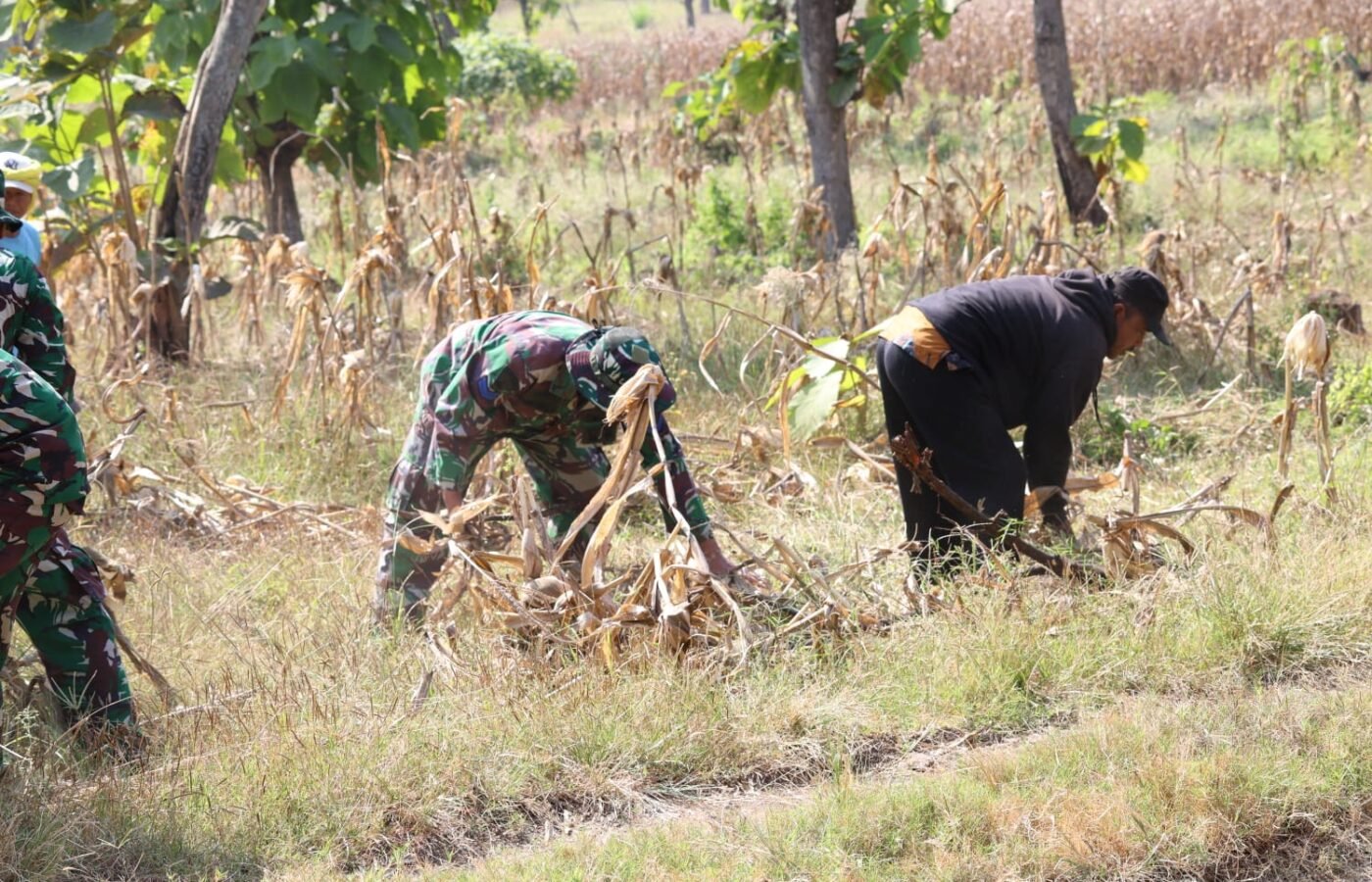 Gotong Royong Satgas TMMD dan Warga Hidupkan Harapan Air Bersih di Dusun Bakon