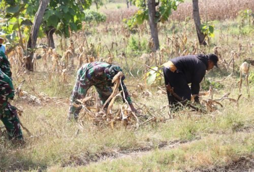 Gotong Royong Satgas TMMD dan Warga Hidupkan Harapan Air Bersih di Dusun Bakon