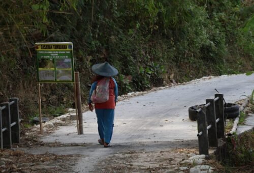 Transformasi Jalan Usaha Tani di Tlemang: Harapan Baru Petani di Lamongan
