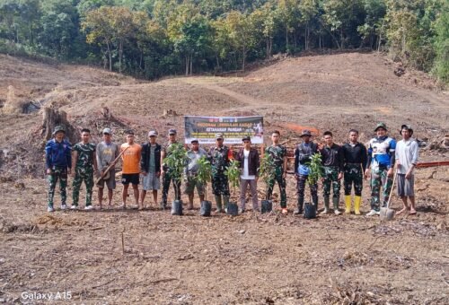 Peningkatan Ketahanan Pangan: Penanaman Alpukat oleh Satgas TMMD di Desa Langi