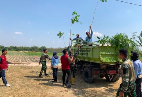 Kegiatan Hijau Bersama Masyarakat di TMMD Ke-129 Desa Kesongo