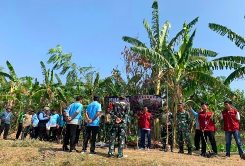 Kodim 0813/Bojonegoro Gelar Program Penghijauan di Desa Kesongo