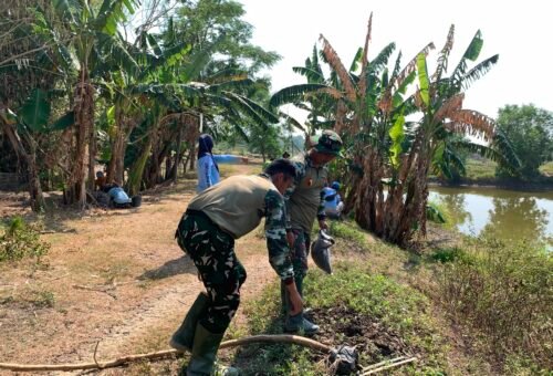 Program TMMD Ke-129: Membangun Kesadaran Lingkungan di Desa Kesongo
