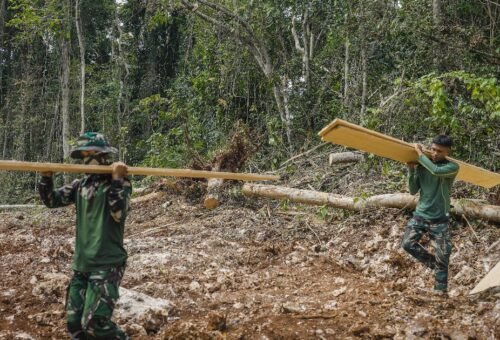 Keterlibatan Masyarakat dalam Pengambilan Material Papan untuk RTLH