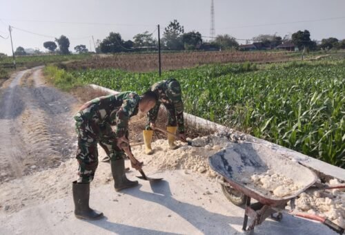 Kinerja Bersama Satgas TMMD Kodim 0813/Bojonegoro Dalam Penimbunan Jalan di Kedung Pandan