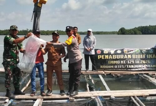 Satgas TMMD Ke-129 Dorong Ketahanan Pangan melalui Penaburan Bibit Ikan Kakap Putih sebanyak 3000 ekor di Desa Busung