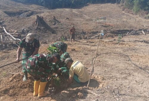 Satgas TMMD ke-129 di Bone: Upaya Tanam Alpukat untuk Lingkungan dan Pangan