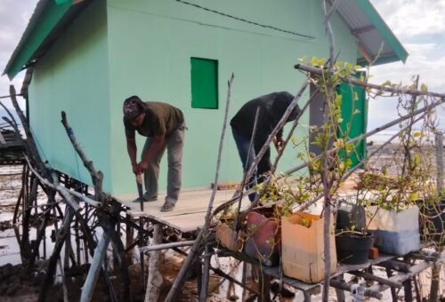 Pembangunan RTLH Bapak Nardianto Di Desa Polewali Masuk Tahap Pemasangan Lantai dan Dapur