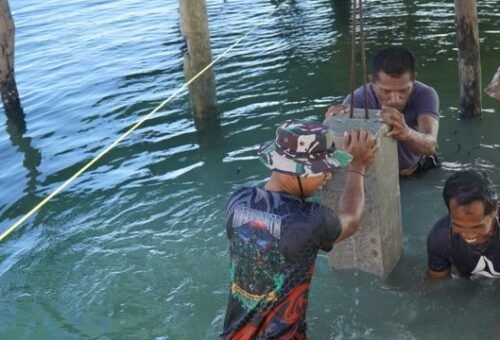 Jembatan Baru di Desa Umbele Permudah Akses Ibu Samsiah dan Keluarga