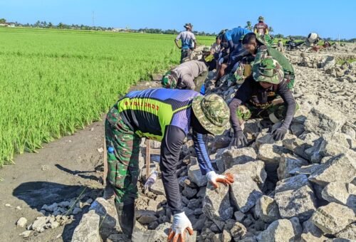 Lawan Terik Matahari, Satgas TMMD Ke-129 Kodim 1404/Pinrang Gaspol Tuntaskan Sasaran di Hari Ke-25