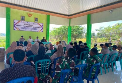 Peningkatan Kesadaran Keamanan Pangan di Desaku melalui TMMD Ke-129