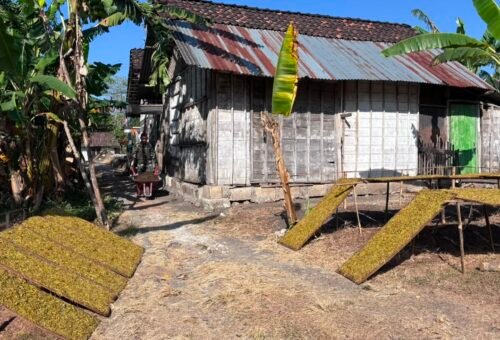 Langkah Awal Pembangunan RTLH Ibu Jasmiati oleh Satgas TMMD