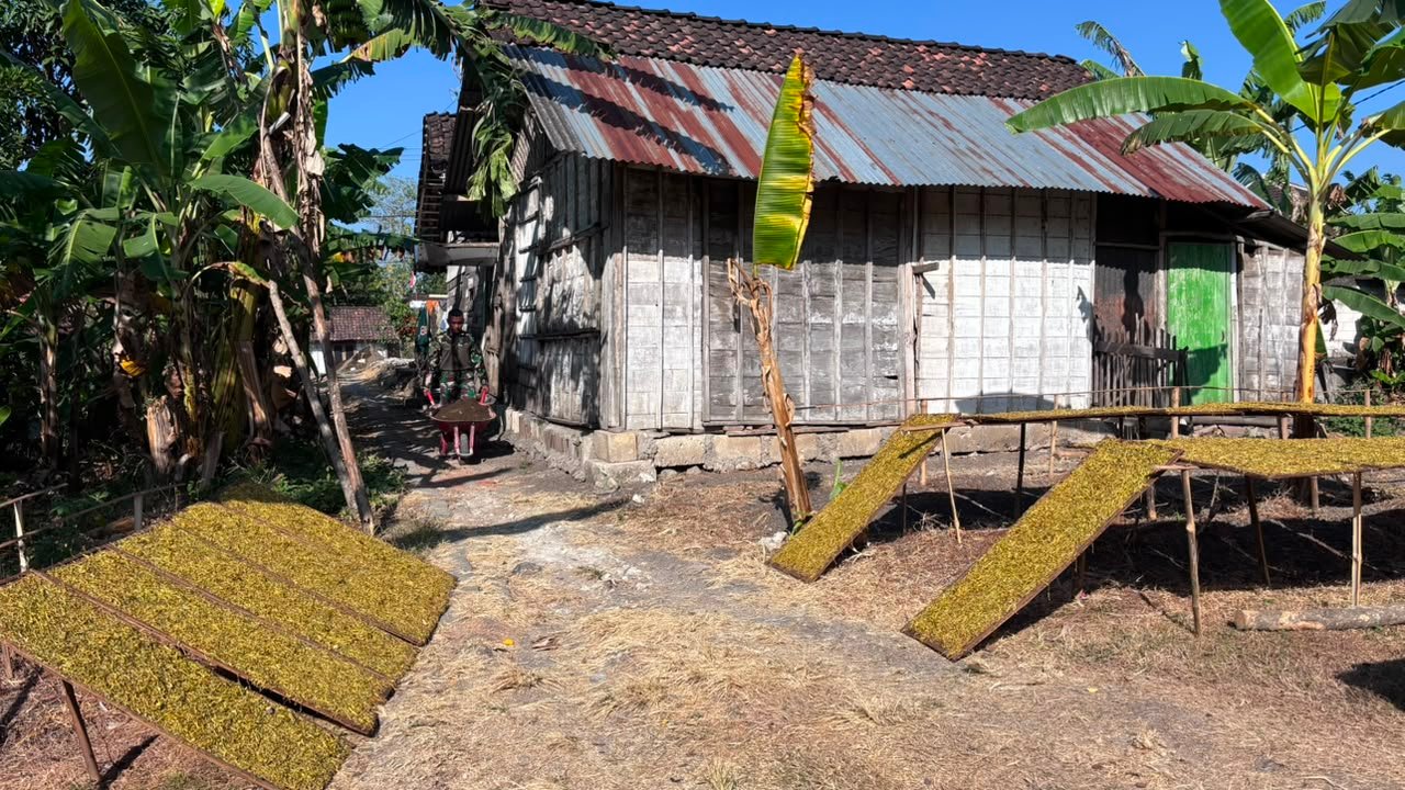 Langkah Awal Pembangunan RTLH Ibu Jasmiati oleh Satgas TMMD