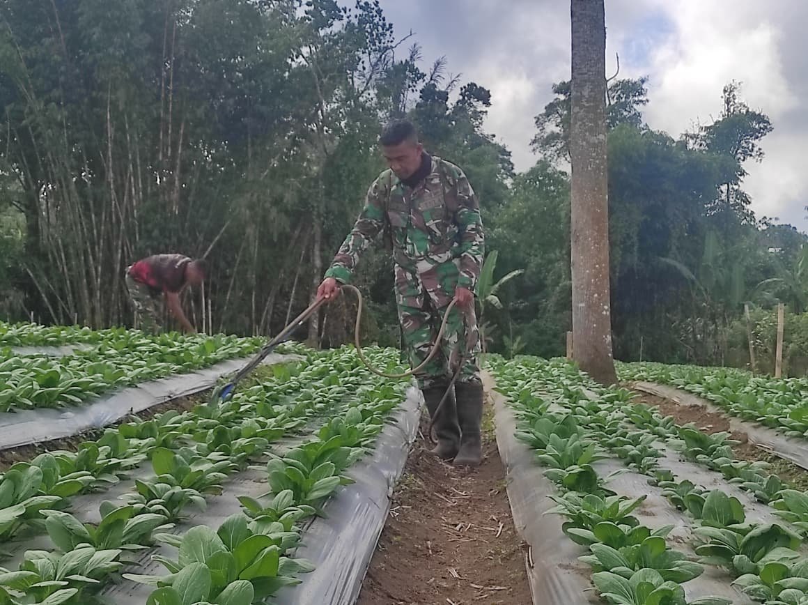 Optimalisasi Lahan 15 Are, Satgas TMMD Ke-129 Tingkatkan Ketahanan Pangan Masyarakat Sekardadi