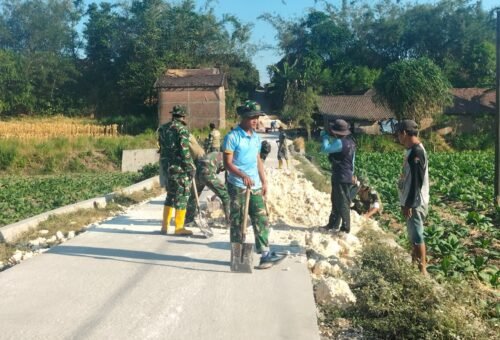 Peningkatan Infrastruktur Desa, Satgas TMMD Kodim 0813/Bojonegoro Fokus Pada Penimbunan Jalan