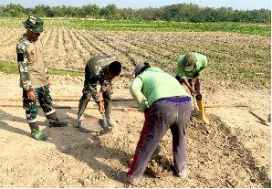 Pembangunan Ekonomi Desa: TMMD 129 Bojonegoro Buka Lapak PKL di Rest Area Kesongo