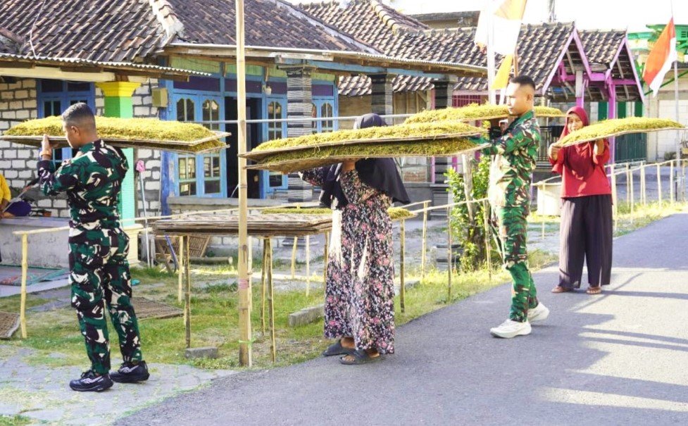 Sinergi TNI dan Warga: Dukungan Satgas TMMD 129 di Kesongo untuk Petani Tembakau