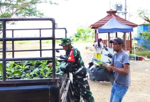 Dorong Produktivitas Komunitas: Satgas TMMD 129 Bojonegoro Kirim Ratusan Bibit Sayuran untuk Warga Kesongo