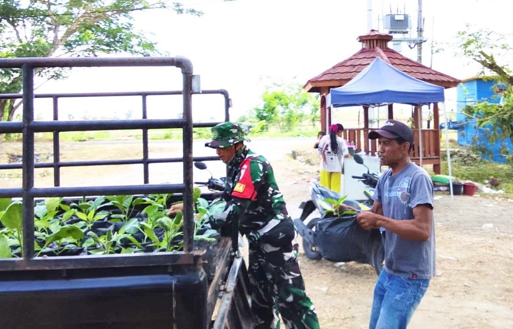 Dorong Produktivitas Komunitas: Satgas TMMD 129 Bojonegoro Kirim Ratusan Bibit Sayuran untuk Warga Kesongo