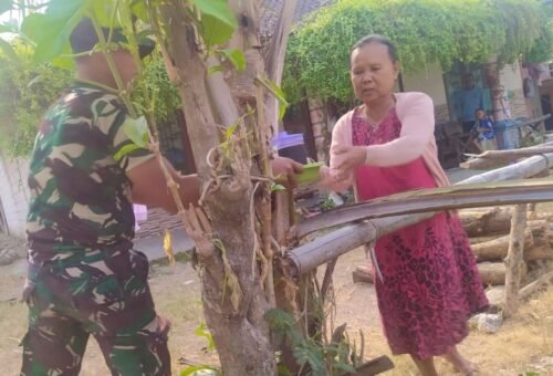 Kopi Hangat Ibu Muji: Simbol Sinergi TNI dan Masyarakat di TMMD 129 Bojonegoro