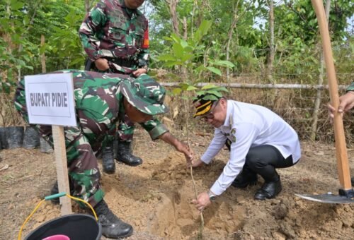 Inisiatif Penanaman Pohon Produktif dalam TMMD Ke-129, Wujudkan Kesadaran Lingkungan dan Pembangunan Ekonomi