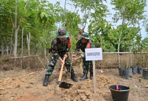 Kegiatan TMMD Ke-129 di Pidie Dukung Ketahanan Pangan Melalui Penanaman Pohon Buah