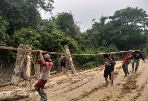 Kebersamaan dalam Membangun, Satgas TMMD Kodim 1206/Putussibau Angkut Material Kayu untuk Jembatan