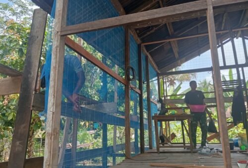 Pemenuhan Target, Satgas TMMD Kodim 1206/Putussibau Percepat Pembangunan RTLH Ibu Marsiana