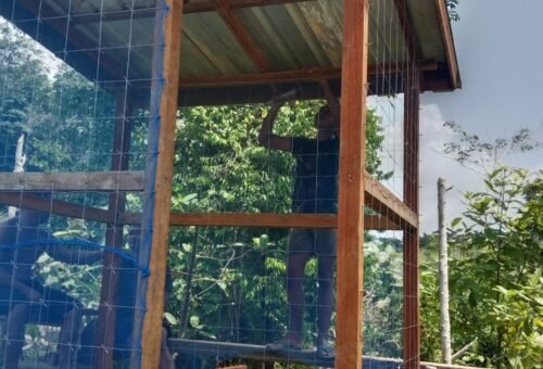 Pemasangan Kawat dan Waring untuk MCK Berkualitas di Masjid Al-Hidayah