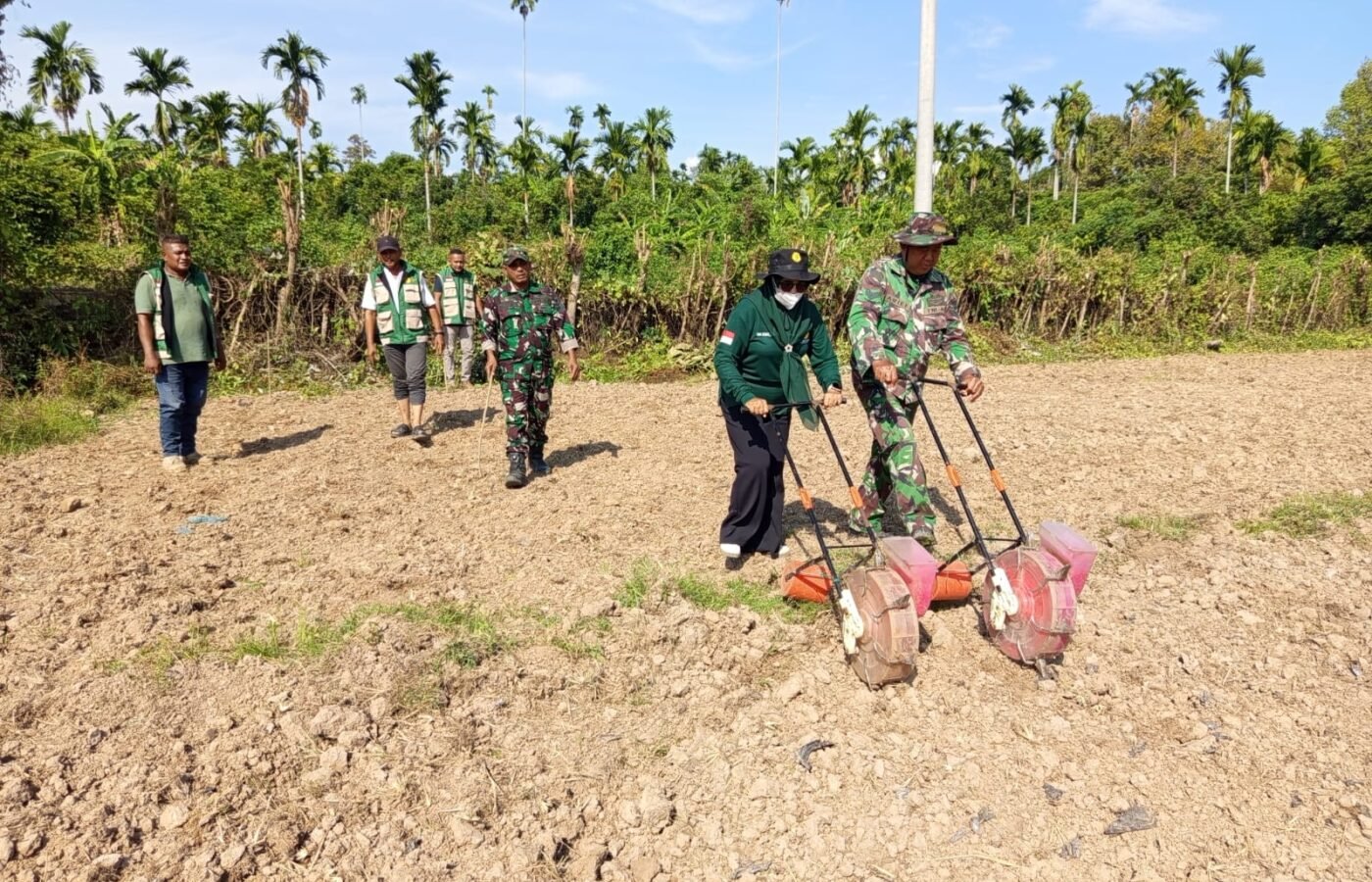 Sinergi TNI dan Dinas Pertanian Pidie, Warga Diajari Tanam Jagung untuk Ketahanan Pangan