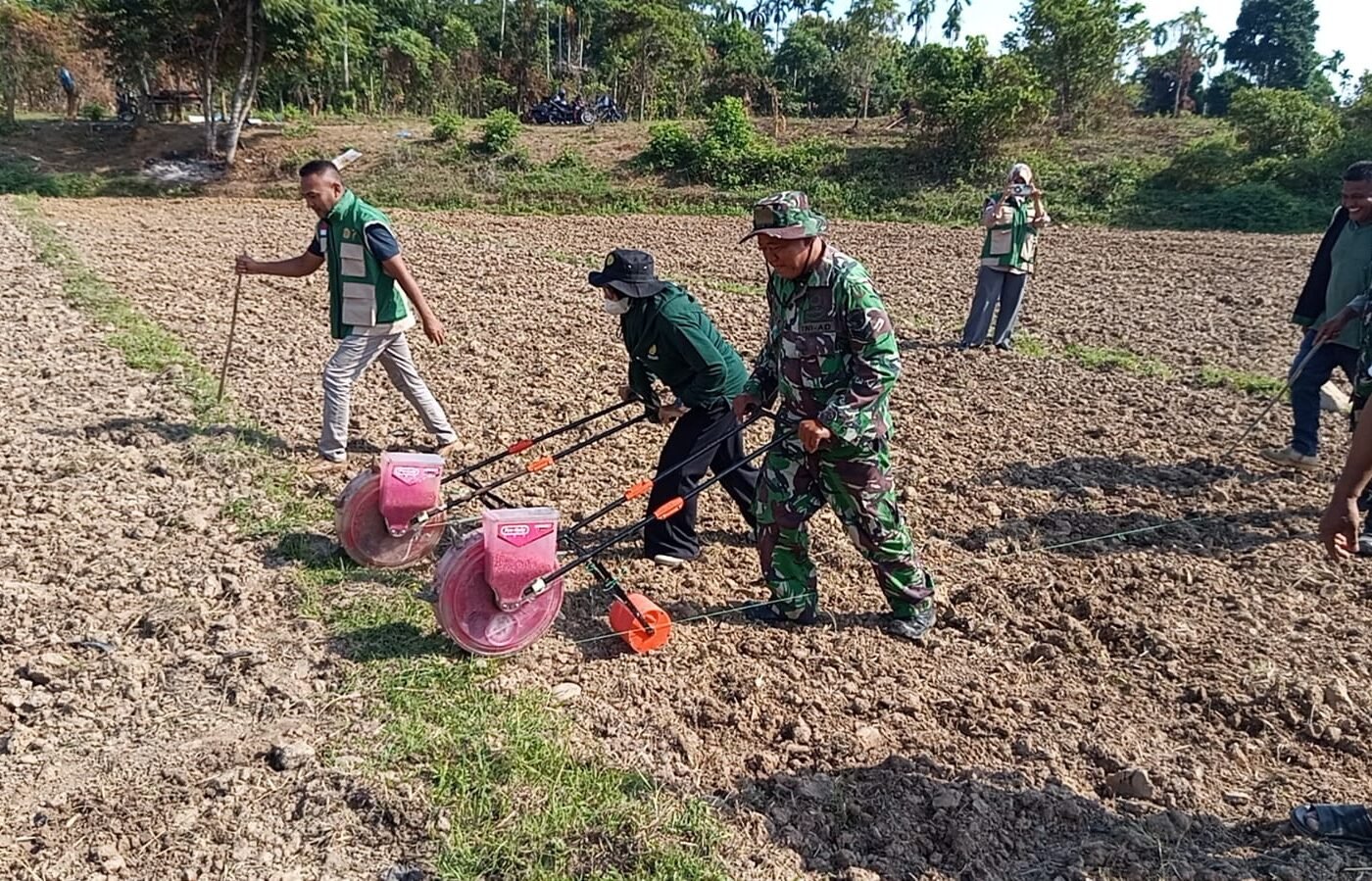 Kolaborasi TNI dan Penyuluh Pertanian Kembangkan Budidaya Jagung di Pidie