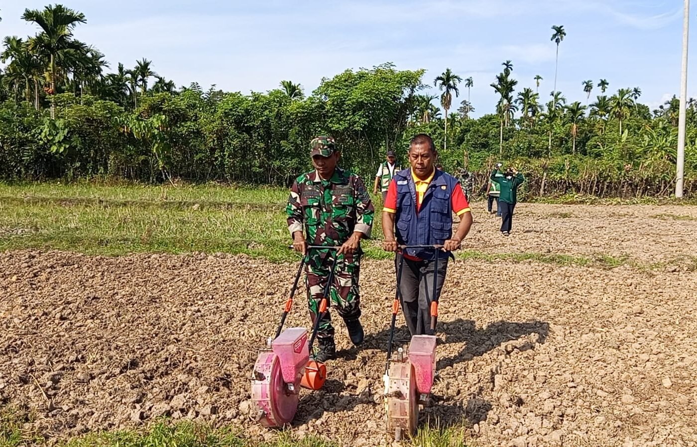 Sinergi Satgas TMMD dan Penyuluh Pertanian untuk Optimalisasi Pertanian di Desa Lhok Panah