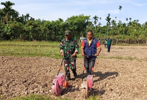 Sinergi Satgas TMMD dan Penyuluh Pertanian untuk Optimalisasi Pertanian di Desa Lhok Panah