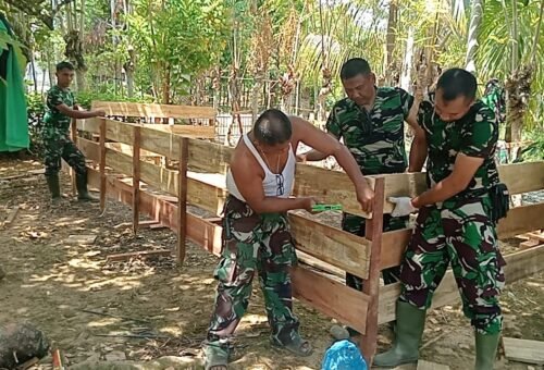 TMMD Ke-129 Bantu Pengembangan Ekonomi Melalui Budidaya Ikan Lele